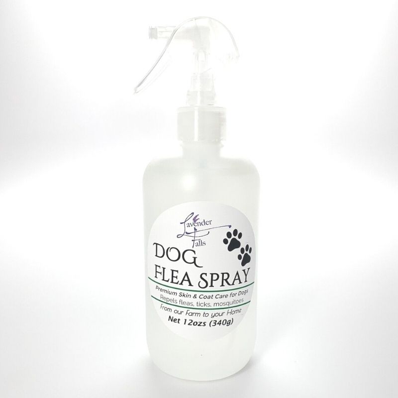Dog Flea Spray, by Lavender Falls